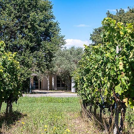 مبيت وإفطار Ordonnac Au Detour Des Vignes المظهر الخارجي الصورة