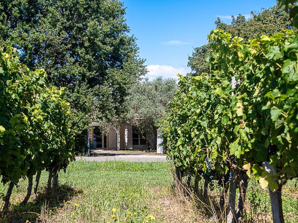 مبيت وإفطار Ordonnac Au Detour Des Vignes المظهر الخارجي الصورة